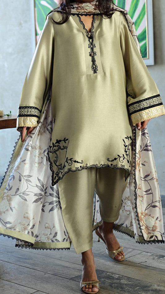 Ayla Kurta & Shalwar