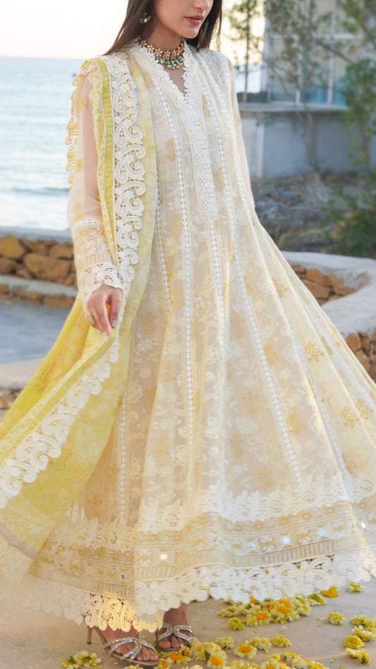 Elaheh Kalidaar and Dupatta