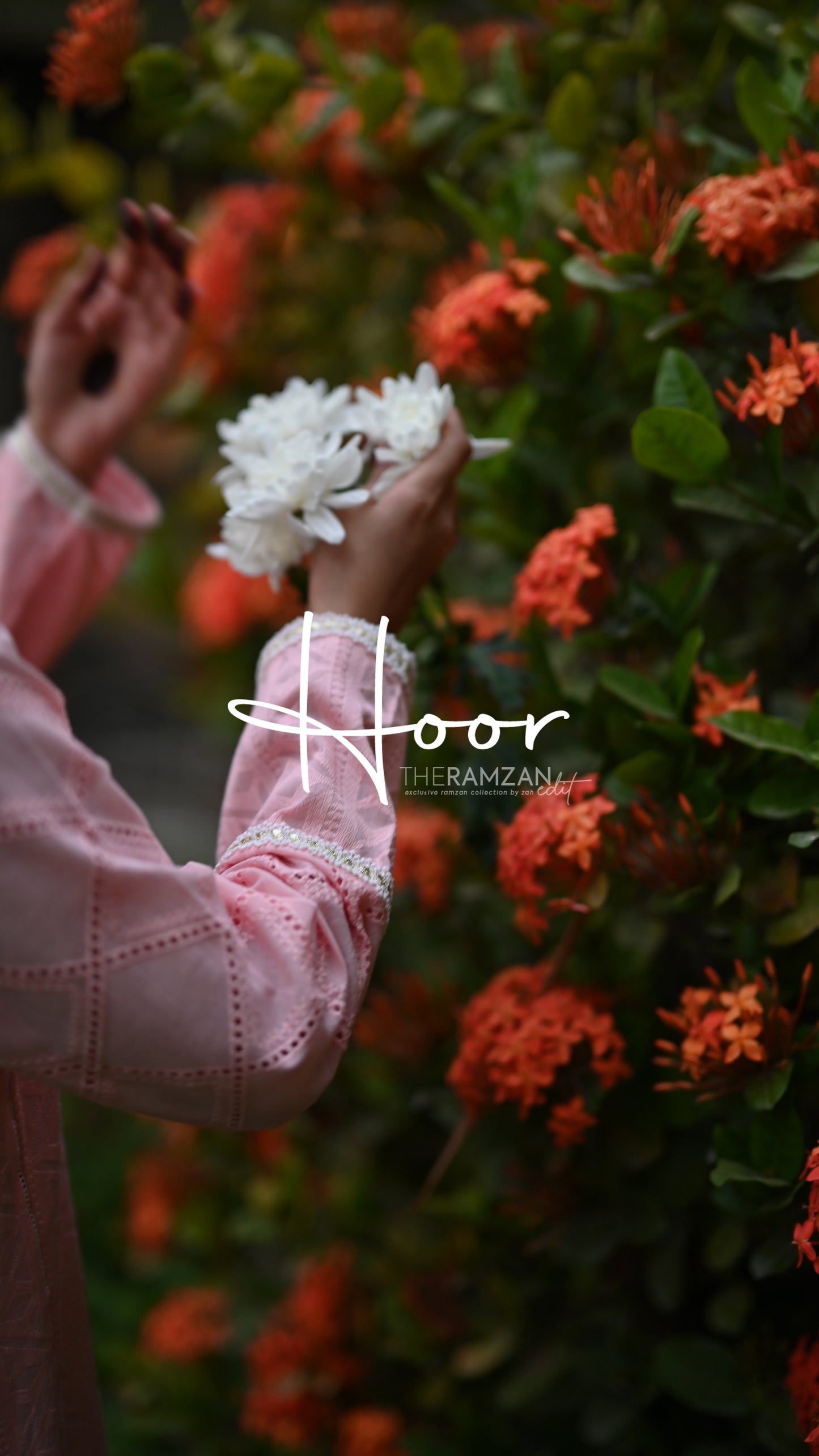 Hoor